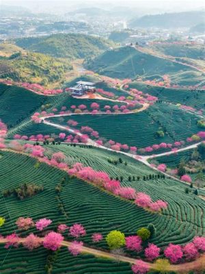 四月福建哪裏好玩：踏春赏花的绝佳选择及旅游小贴士